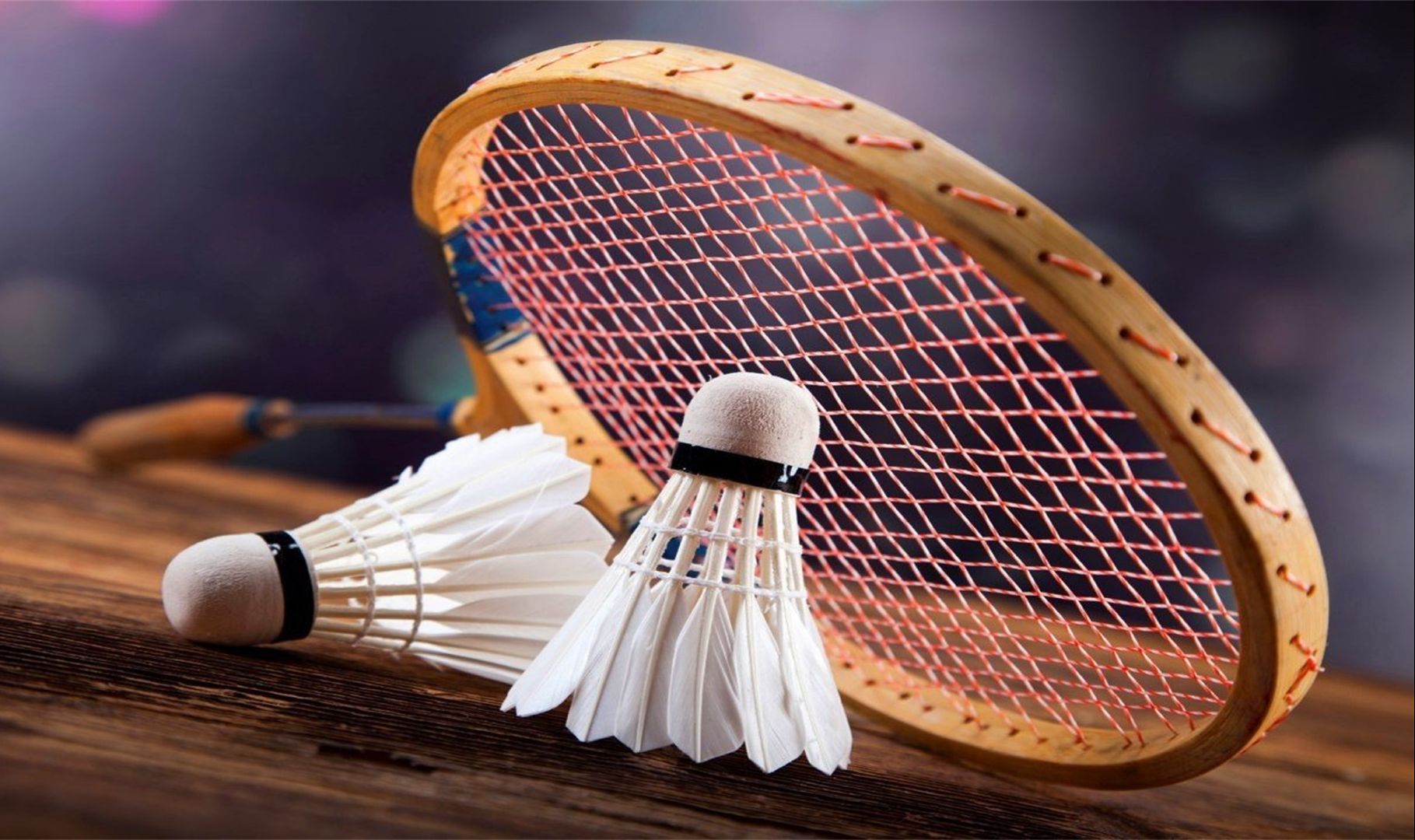 用三翼卫战 用三翼卫战