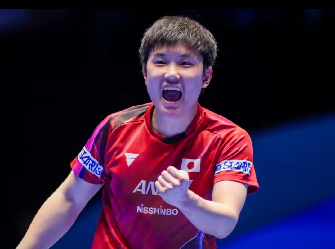 平教练团队 平教练团队