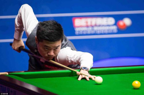 可以安心培 可以安心培