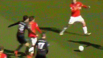 率高达50 率高达50